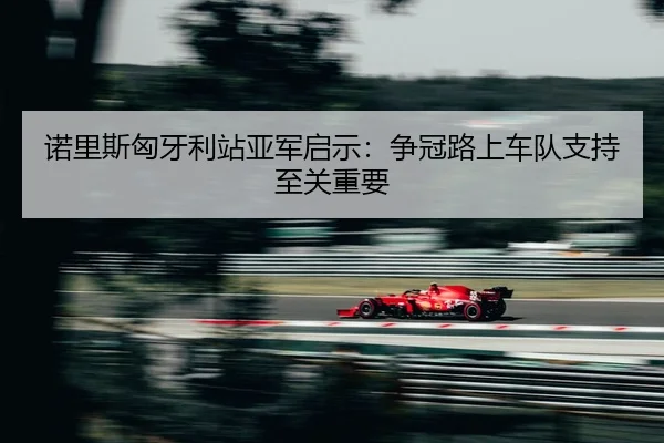 nuo-li-si-xiong-ya-li-zhan-ya-jun-qi-shi-zheng-guan-lu-shang-che-dui-zhi-chi-zhi-guan-zhong-yao-3-483.jpg