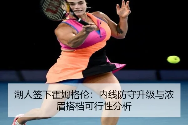 湖人签下霍姆格伦：内线防守升级与浓眉搭档可行性分析